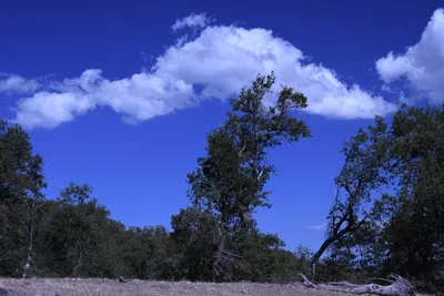 DSC_2223 (Large).JPG